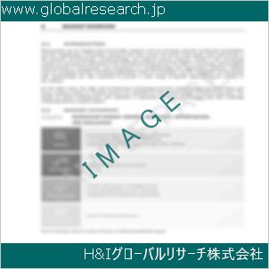 グローバルリサーチ調査資料のイメージ